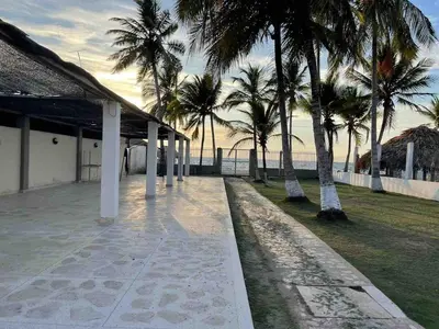 a row of palm trees in front of a building at Cabaña 5 - Conjunto frente al mar con piscina in Coveñas