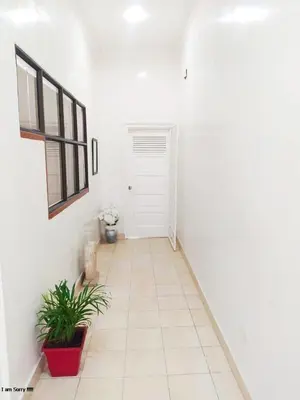 a white hallway with a door and a plant at apto centro comodo 3 piso -- 1 in Cartagena de Indias