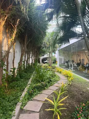 a garden with palm trees and a walkway at Morros Vitri directo al Mar in Cartagena de Indias