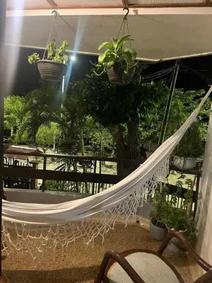 a hammock with potted plants on a balcony at Habitación con baño privado y aíre acondicionado frente al mar in Santiago