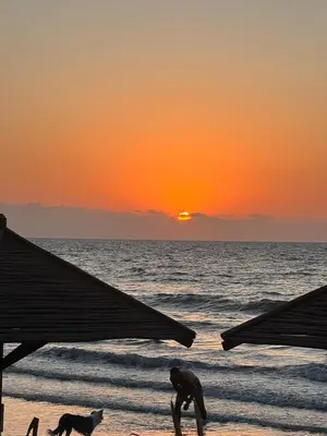 a man and a dog on the beach at sunset at Moderno apartamento en Playas del Francés