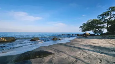 a beach with rocks and a tree and water at Caribbean Retreat Direct Beach Access in Santa Marta