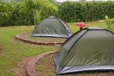 two tents sitting in a grassy yard next to sidx sidx sidx at Hostal Cultural El Telar in San Jacinto