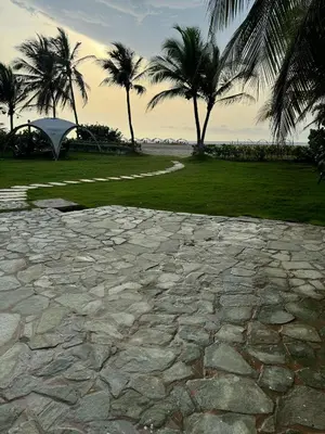 a stone walk way with palm trees in the background at Marabierto Beachfront Escape in Arizona