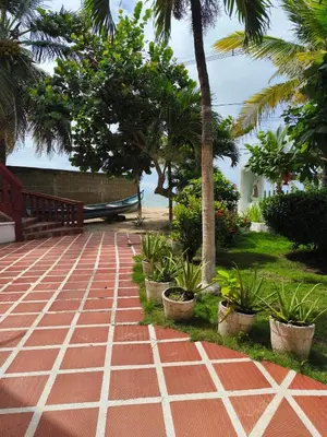 a brick walkway with palm trees and a hammock at Las Margaritas Frente al Mar 1 in Coveñas