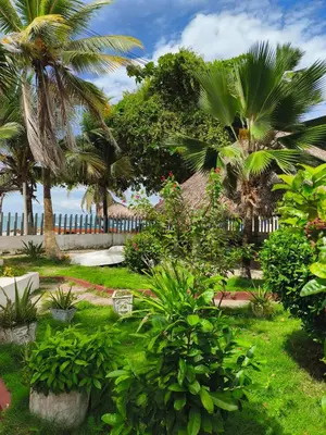 a garden with palm trees and a fence at Las Margaritas Frente al Mar 1 in Coveñas