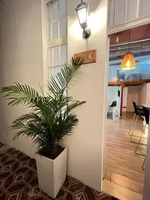 a plant in a white planter in a hallway at Apartamento Cartagena - centro histórico in Cartagena de Indias
