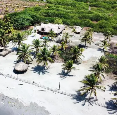 an aerial view of a beach with palm trees at Coco y arena cabaña frente al mar, lejos del turismo y cerca a los manglares in San Bernardo del Viento