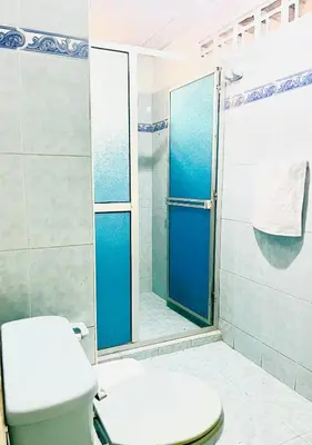 a bathroom with a toilet and a shower at Lilis house in Cartagena de Indias
