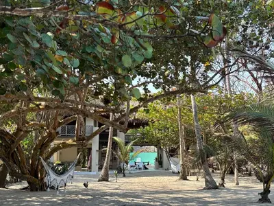 a group of trees with a swing and a building at Villa Frente al mar en el Calao, San Antero in Calao