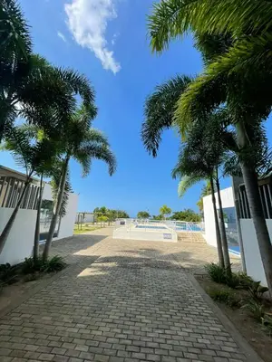 a cobblestone street with palm trees on the beach at Apto espectacular frente al mar in Coveñas