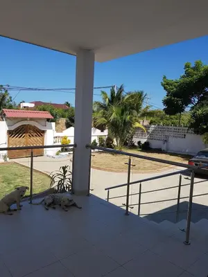 two dogs laying on the front porch of a house at Espectacular casa, vista al mar y piscina privada in Santa Veronica