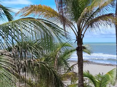 a palm tree on a beach with the ocean at DLuchy Casa Finca Rural cerca al mar in San Bernardo del Viento