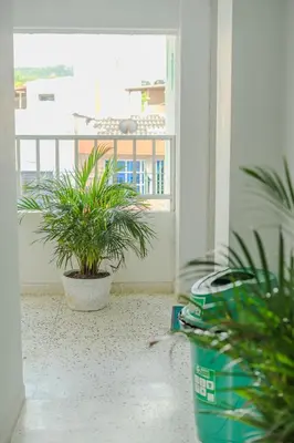 a room with two potted plants on a balcony at Almería Apt, Spacious Studio Near Old Town in Cartagena de Indias