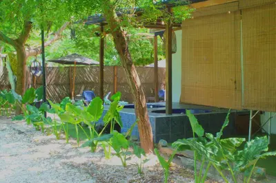 a garden with a swimming pool with trees and plants at Mango Tree Island 420 in Tierra Bomba