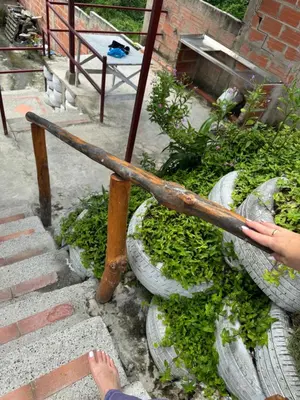 a person holding a wooden pole over some plants at Casa Campestre DONDE MAMI ENA in Galapa