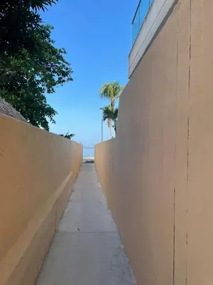 a sidewalk next to a wall with a palm tree at Habitación Manglares 102 in Coveñas