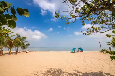 a sandy beach with palm trees and the ocean at Habitación Manglares 102 in Coveñas