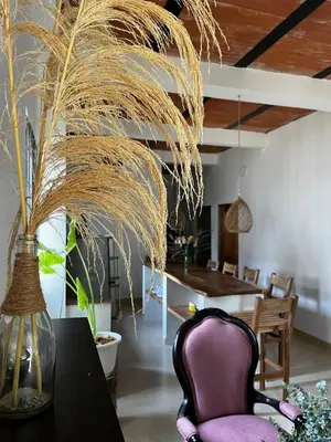 a dining room with a purple chair and a table at Isla Rosa Coveñas in Coveñitas