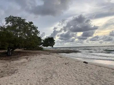 a beach with trees and the ocean on a cloudy day at Villa del Atardecer Caribeño - JhonLimar in Bocachica