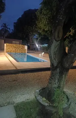 a dog standing next to a tree next to a pool at Mango Beach in San Bernardo del Viento