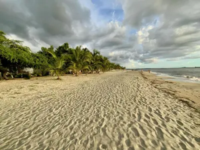 a sandy beach with palm trees and the ocean at VISTA BAHIA Santa Marina Santa Marta in Santa Marta