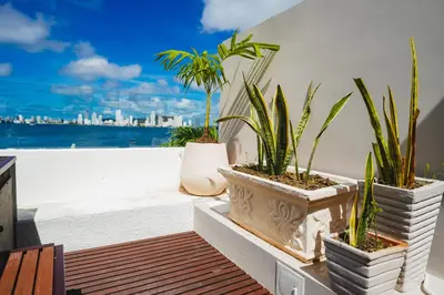 a row of plants in white pots on a balcony at Suite Premium con Terraza y Jacuzzi Privado in Cartagena de Indias