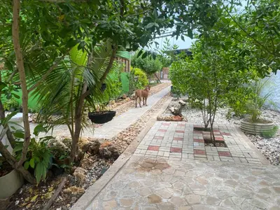 a horse walking through a garden with trees and a sidewalk at Pirita Beach House in Santa Ana