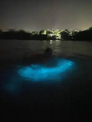 a large body of water at night with blue lights at Pirita Beach House in Santa Ana