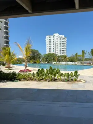 a group of birds sitting on a sidewalk near a body of water at Apartamento de Lujo en Santa Marta con vista al mar -Santamarina- 1802 in Santa Marta