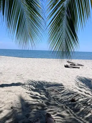 a beach with a palm tree and a boat on it at Apartamento cerca del mar- SantaMarina-604 in Santa Marta