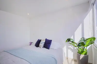 a white bedroom with a bed and a potted plant at Riviera Suite - Apartamento con balcón in Cartagena de Indias