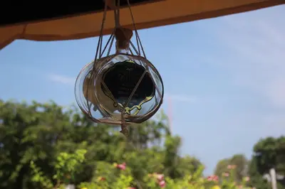 a glass lamp hanging from a tent with trees in the background at Casa Pizarro Hotel Boutique in Cartagena de Indias