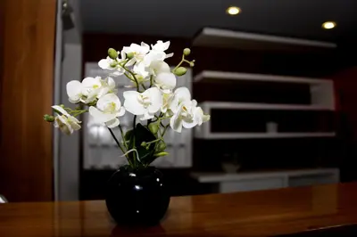 a black vase filled with white flowers on a table at Hotel San Marcos Barranquilla in Barranquilla