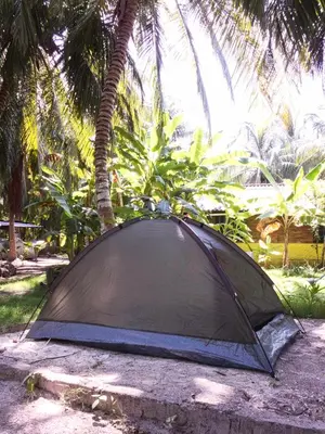 a tent sitting on the ground under a palm tree at Coco Encantado Eco Hostal Camping in Cartagena de Indias