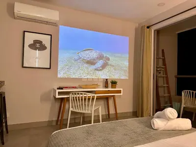 a bedroom with a desk and a turtle on the wall at Santa Marina Apartments and Beach Club by Xarm Apartments in Santa Marta