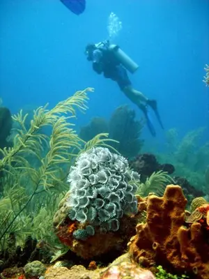 Gallery image of Hospedaje Mar Adentro in Isla Fuerte