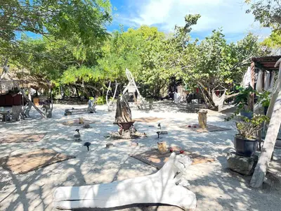 a group of birds in a courtyard with trees at Puerto idilio beach resort in Isla Grande