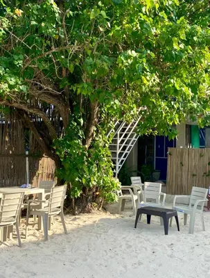 a group of tables and chairs under a tree at Orilla beach house in Playa Punta Arena