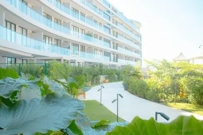 a garden with large cabbage plants in front of a building at Morros Serena del Mar in Cartagena de Indias