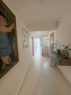 a hallway of a house with a painting on the wall at Hermoso apartamento loft en la ciudad amurallada de cartagena 2 in Cartagena de Indias