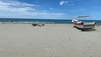 a boat on a beach with two dogs on it at CARPE DIEM oceanfront cabin private beach in San Bernardo del Viento