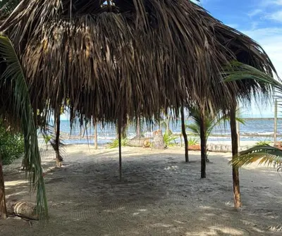 a straw umbrella on a beach with the ocean at Casa Azure Playas del Francés in El Puertón