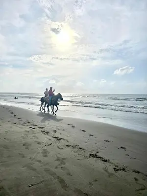 a group of people riding horses on the beach at Aguita de coco in Cartagena de Indias