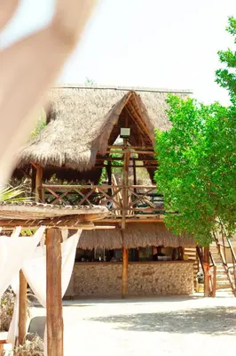 a hut with a straw roof and a tree at Cabaña privada con Jacuzzi a solo un minuto de la playa in Isla de Tierra Bomba