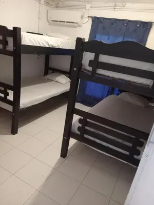 Gallery image of Shánty guest house in Cartagena de Indias