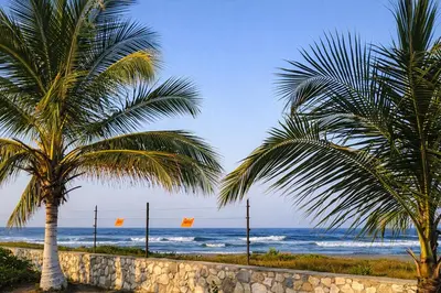 two palm trees on a beach with the ocean at Villa Liz in Puebloviejo