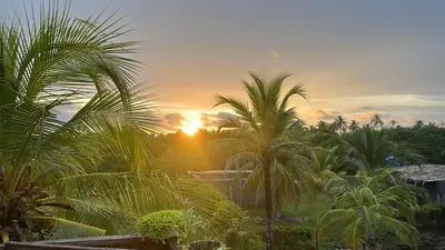 a sunset with palm trees in front of a field at Mi refugio in Moñitos