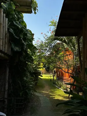 a path through a garden with green plants at Guacamaya Kite Lodges in Salina de Rey