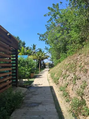 a path with trees on the side of a hill at A pasos de playa privada Serena del Mar Cartagena in Cartagena de Indias